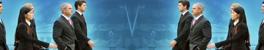 International Lawyer Management Consultant